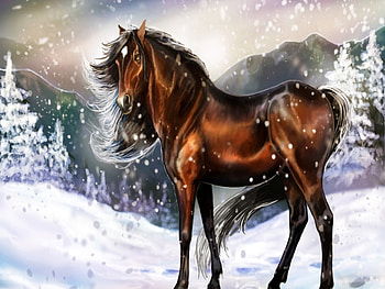 beautiful horse, horse, brown, beautiful, snow HD wallpaper