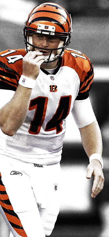 Cincinnati Bengals, XS Max , Mobile HD phone wallpaper