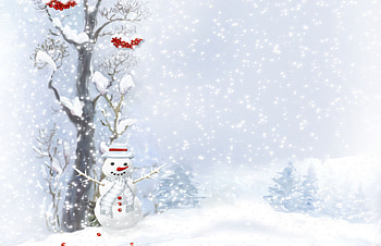 Holidays, Berries, Snowman, Wood, Tree, Buttons, Snowfall, Scarf, Christmas Trees HD wallpaper
