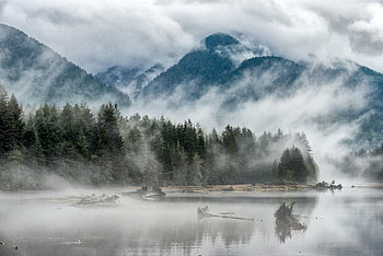 Nature, Trees, Lake, Forest, Fog, Hill HD wallpaper