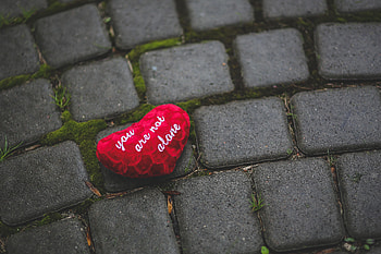 Love, Inscription, Moss, Heart, Tile HD wallpaper