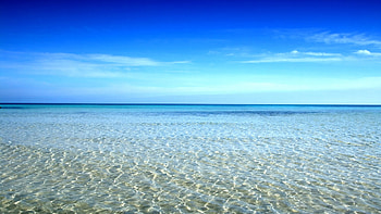 Beach ocean water, blue, summer, sea, seascape, water, beach, ocean HD wallpaper