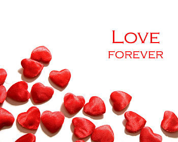 Love Forever, white, feeling, love, red, hearts HD wallpaper