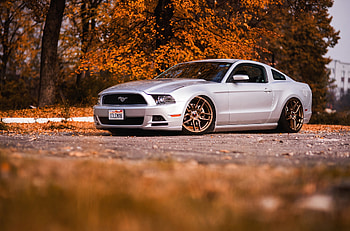 Ford-Mustang, Car, Shelby, Mustang, Ford HD wallpaper