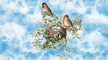 Spring Birds 3, spring, summer, birds, clouds, sky, eggs, nest HD wallpaper