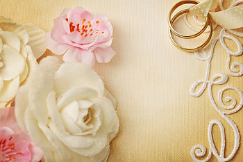 Wedding, soft, rings, flowers HD wallpaper