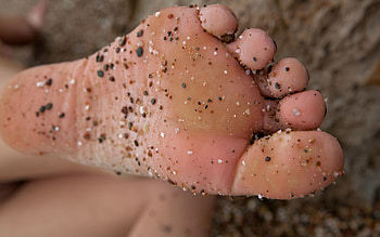 Sand, Macro, Wet, Mud, Dirt, Humid, Heel HD wallpaper