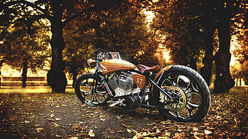 Harley Davidson Motorcycle, harley-davidson, bikes HD wallpaper
