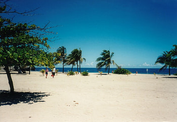 Caribbean Beach, Caribbean, blue skies, sand, beach HD wallpaper