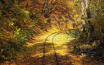 Rails, Nature, Turn, Forest, Leaf Fall, Fall, Railway HD wallpaper