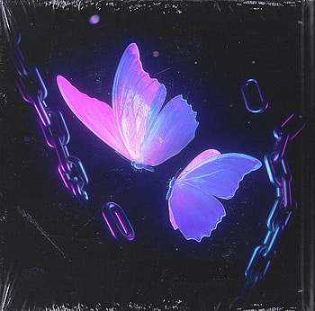 Butterflies, blue, black, fluture, chain, pink, gromow, butterfly, fantasy, luminos HD wallpaper