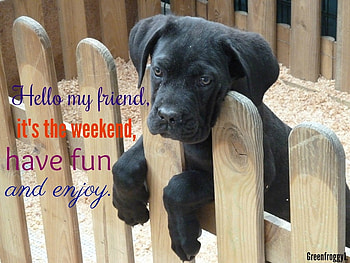 IT'S THE WEEKEND, THE, COMMENT, WEEKEND, CARD HD wallpaper