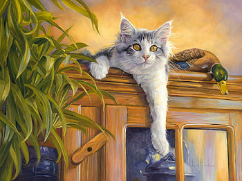 Looking, plant, duck, cat, look HD wallpaper