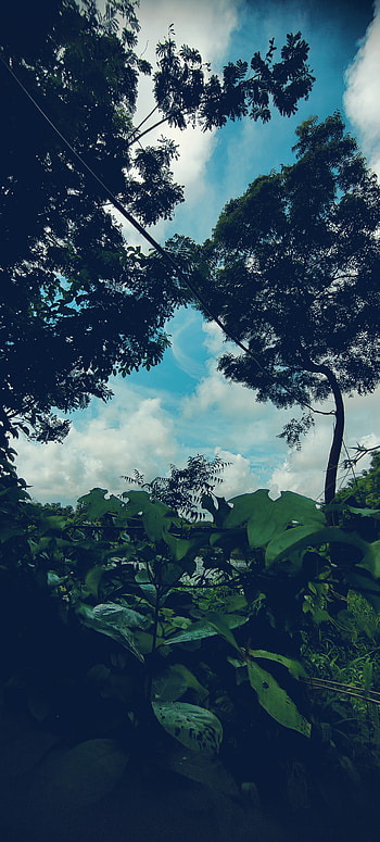 Shot On OnePlus 9R, cloud, sky HD phone wallpaper