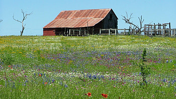 Texas Hill Country, Old barn, Llano TX, Field HD wallpaper