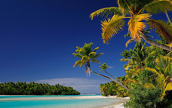 Aitutaki tropical islands, Palm trees, Azure lagoon, Oceania paradise HD wallpaper