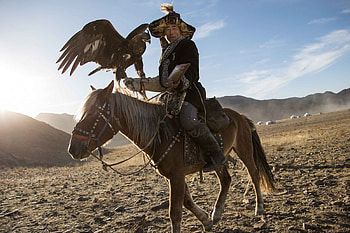 Mongolia, Oryx tours, Wildlife graphy, Nature adventure HD wallpaper
