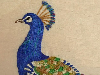 Peacock, blue, art HD wallpaper