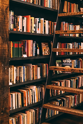 Warm, inviting library scene featuring wooden shelves filled with colorful books and a rustic ladder. HD phone wallpaper