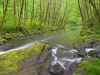 Landscape, Water, Rivers, Trees HD wallpaper