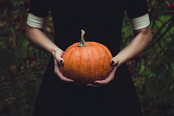 Food, Pumpkin, Hands, Girl HD wallpaper