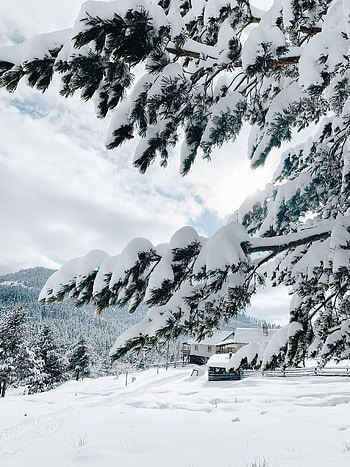 Landscape, Winter, Nature, Snow, Small House, Lodge HD phone wallpaper