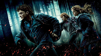 Harry, Hermione and Ron, Harry Potter HD wallpaper
