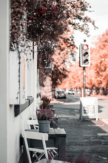 Cities, Flowers, Building, Furniture, Decoration, Street HD phone wallpaper
