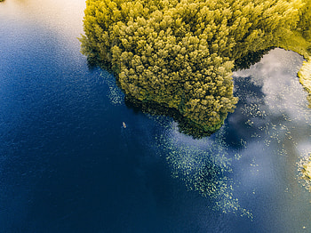 Nature, Trees, Sea, View From Above, Lithuania, Boat HD wallpaper