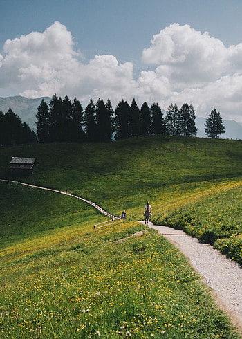 Landscape, Nature, Trees, Mountains, Path, Hills, Meadow HD phone wallpaper