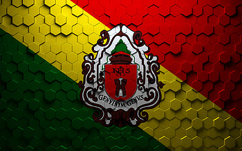 Flag of Embu das Artes, honeycomb art, Embu das Artes hexagons flag, Embu das Artes 3d hexagons art, Embu das Artes flag HD wallpaper