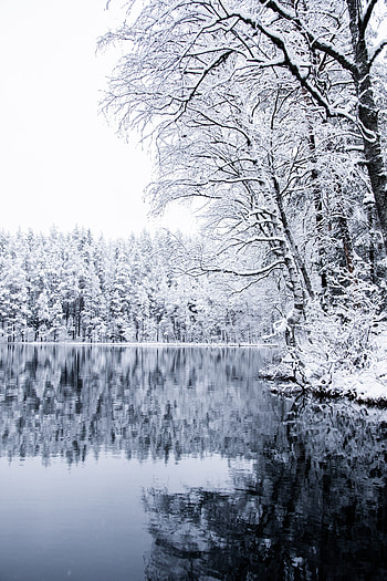 Landscape, Winter, Nature, Trees, Snow, Lake HD phone wallpaper