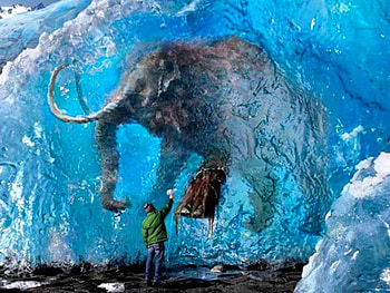 Frozen Elephant, amazing-and-unbelievable HD wallpaper