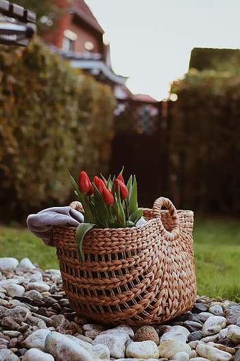 Flowers, Stones, Bouquet, Basket, Tulip HD phone wallpaper