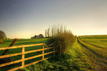 Fence, grass, sky, nature HD wallpaper