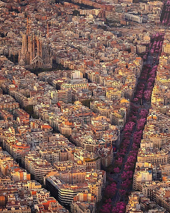 Barcelona Spain, brickwork, world HD phone wallpaper