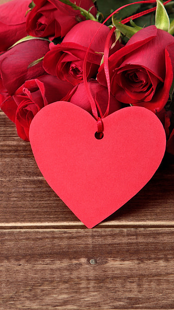 Valentines Aesthetic, Preety Background HD phone wallpaper