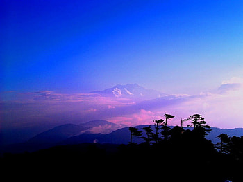 Incredible India, incredible, purple, india, trees, sky, nature HD wallpaper
