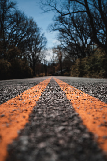 Road, Trees, Miscellanea, Miscellaneous, Markup, Asphalt, Dahl, Distance HD phone wallpaper