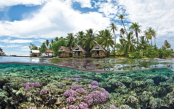Coral Reef, Tahiti HD wallpaper