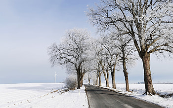 Winter Road, trees, wind turbine, road, hoarfrost, snow HD wallpaper