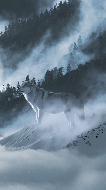 Arctic Wolf, White wolf laptop , Snowy landscapes, Arctic serenity HD phone wallpaper