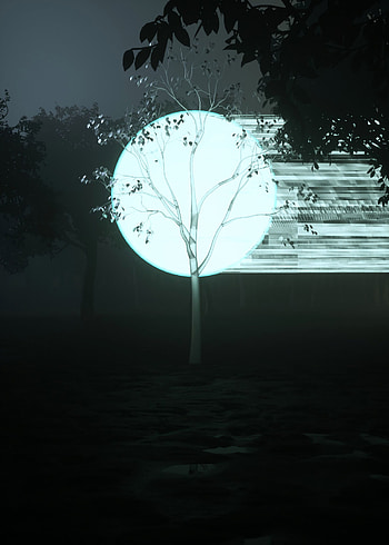 Art, Wood, Tree, Darkness, Ball, Glow HD phone wallpaper