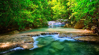 Waterfalls In The Forest, river, green, trees, waterfalls, beautiful, lagoon, forest HD wallpaper