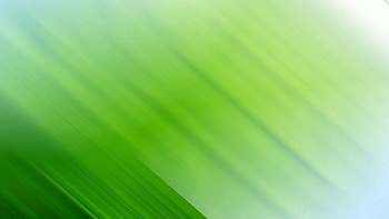 Abstract, Shine, Light, Lines, Light Coloured, Obliquely HD wallpaper