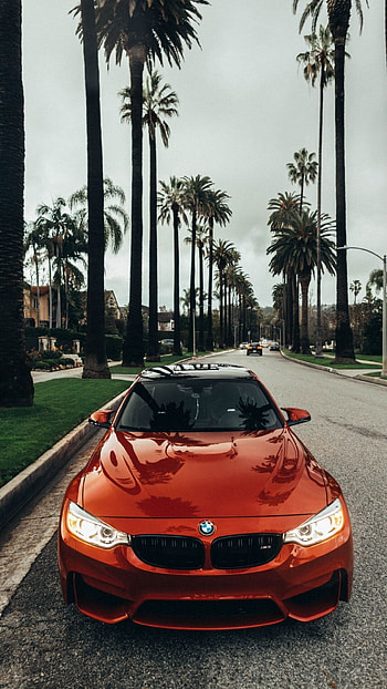 BMW perfection, Top , High definition beauty, Elite brand HD phone wallpaper