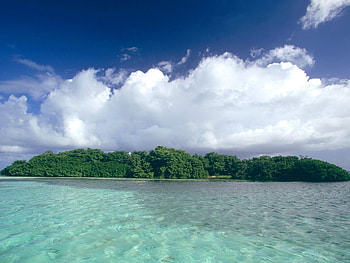 Landscape, Trees, Sea HD wallpaper