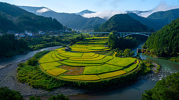 Aragi Island Terraced Fields: Stunning Nature & Grass Landscape, nature, grass, terraced field HD wallpaper
