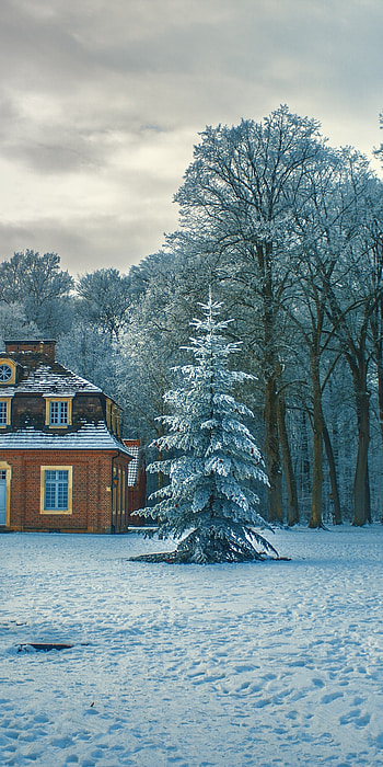 Winter Wonderland , graphy, winter, snow, tree, house HD phone wallpaper