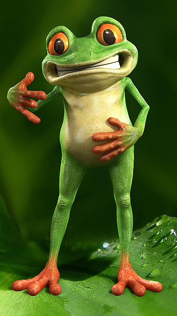 Cute Frog, Animal HD phone wallpaper